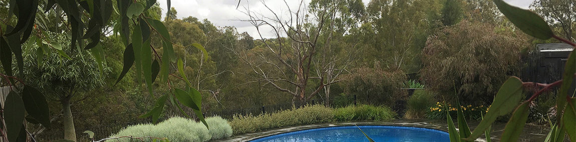 Native Garden – Horseshoe Bend, Keilor